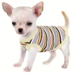 Pink Striped Ribbed Dog Vest for Easy Pullover Wear with Soft Knit Fabric – gallery image 15
