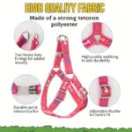 Bone-Shape Pet Harness and Leash for Walking & Control with Chest and Back Triangle Design – gallery image 7