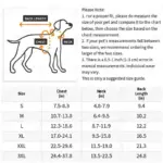 Dog Cooling Suit for Warm-Weather Wear and Breathable Lightweight Fabric – gallery image 4