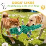 Plush Alligator Dog Toy for Chewing & Interactive Play with Squeaker and Rope Tug Design – gallery image 7