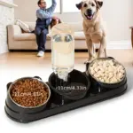 3-in-1 Pet Feeder and Automatic Water Dispenser for Cat and Dog Feeding with Non-Slip Tilted Bowl – gallery image 12