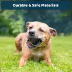 Smart Bouncing Ball for Interactive Pet Play and Motion-Activated Rolling Design – gallery image 18