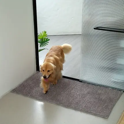 529b5038-d317-43d1-90b1-0dcf01003417