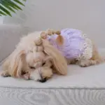 Dog Dress for Pet Wear and Costume Styling Plaid Pattern, Purple Color – gallery image 3