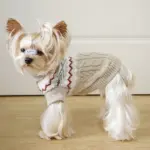 Pet Sweater for Dogs and Cats with High Neck, Pullover Style – gallery image 7