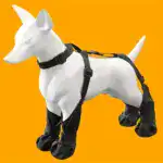 Dog Paw Boot Leggings for Outdoor Walking in Wet Weather with Anti-Slip Sole – gallery image 6