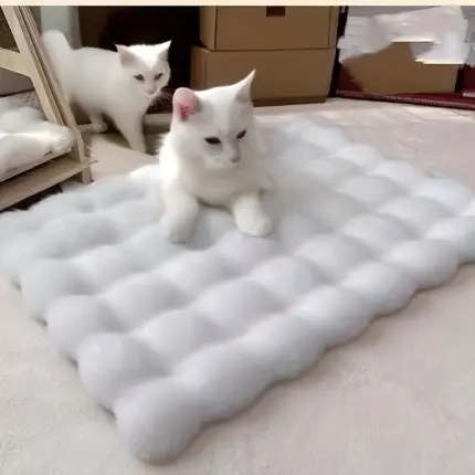 5e1e087d-e066-4e73-bb62-6489081813d4