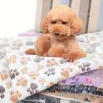 Thickened Double-Layer Pet Mattress for Resting & Lounging with Dog Paw Pattern – gallery image 3