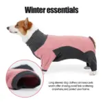 Dog Bodysuit for Warmth & Shedding Control with Contrast Color Design – gallery image 6