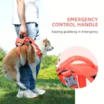 Adjustable Escape-Resistant Dog Harness for Walking & Leash Control with Front and Back Clip Points – gallery image 8