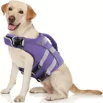 Dog Life Vest for Water Activities and Visibility with Reflective Stripes and Top Handle – gallery image 10