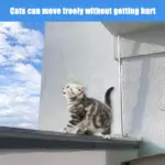 Transparent Mesh Protection Net for Balcony and Window Barrier Use with Fixed Plastic Buckles – gallery image 7