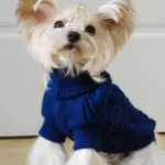 Dog Hooded Sweater for Warmth & Everyday Wear, Knit Pullover with Twisted Flower Detail – gallery image 3