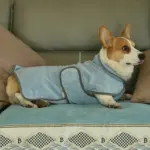 Quick-Dry Dog Bathrobe Towel for Drying After Baths & Grooming, Soft Fabric – gallery image 9