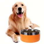 Non-Slip Stainless Steel Pet Bowl for Feeding Cats and Dogs, Round Design – gallery image 5