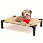 Cooling Elevated Dog Bed for Pet Resting with Breathable Mesh Surface and Metal Frame – gallery image 15