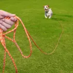 Reflective Long Dog Leash for Training and Walking, Multi-Size Fit – gallery image 3