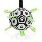 Chew-Resistant Bouncy Dog Toy for Fetch & Interactive Play – main image