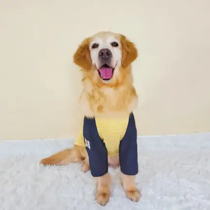 7c54b69b-5d6d-4edc-98cc-8f28cb7d7fae