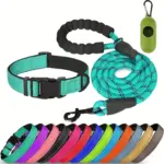 Reflective Pet Leash and Adjustable Nylon Collar for Dog Walking & Control – main image
