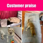 Plush Pet Bed for Resting & Lounging with Thick Cushioned Polyester Mat – gallery image 10