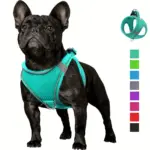 Soft Padded Dog Harness for Walking & Control with Breathable Mesh and Reflective Trim – gallery image 6