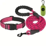 Reflective Pet Leash and Adjustable Nylon Collar for Dog Walking & Control – gallery image 3