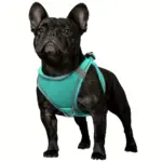Soft Padded Dog Harness for Walking & Control with Breathable Mesh and Reflective Trim – gallery image 9