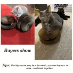 Cat Scratching Board for Scratching & Claw Maintenance with Corrugated Cardboard Surface – gallery image 7