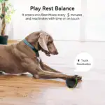 Interactive Rolling Dog Ball Toy for Self-Directed Play with Light-Up Design – gallery image 12