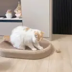 Jute Cat Scratching Board for Scratching & Resting with Raised Edge Design – gallery image 2