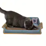 Cardboard Cat Scratcher Sofa for Scratching & Lounging with Two-Seater Design – main image