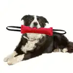 Durable Dog Bite Stick for Chewing & Tug Play with Dual Handles – main image