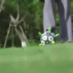 Chew-Resistant Bouncy Dog Toy for Fetch & Interactive Play – gallery image 11