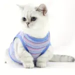 Pink Striped Ribbed Dog Vest for Easy Pullover Wear with Soft Knit Fabric – gallery image 14