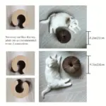 Cat Scratching Board for Scratching & Claw Maintenance with Corrugated Cardboard Surface – gallery image 5