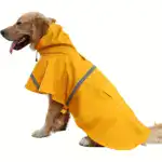 Reflective Hooded Dog Raincoat for Wet-Weather Walks & Outdoor Use – main image