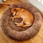 Plush Round Dog Bed for Resting & Sleeping with Deep Bolstered Shape – gallery image 6