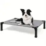Cooling Elevated Dog Bed for Pet Resting with Breathable Mesh Surface and Metal Frame – gallery image 3