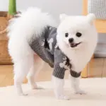 Bear Print Knitted Cardigan for Pets for Warmth in Cooler Weather – gallery image 3