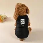 Dog Winter Jacket for Cold-Weather Wear with Colorful Design – gallery image 13