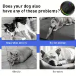 Interactive Rolling Dog Ball Toy for Self-Directed Play with Light-Up Design – gallery image 16