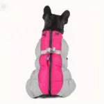 Dog Winter Jacket for Cold Weather Wear with Windproof Design & Reflective Detail – gallery image 12