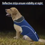 Winter Dog Coat for Cold Weather with Reflective Trim and Adjustable Fit – gallery image 9