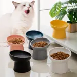 Elevated Inclined Ceramic Cat Bowl for Feeding and Drinking – gallery image 3
