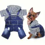 Pet Jumpsuit Outfit for Spring and Summer Wear, Striped Denim-Style Design – main image