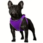Soft Padded Dog Harness for Walking & Control with Breathable Mesh and Reflective Trim – gallery image 10