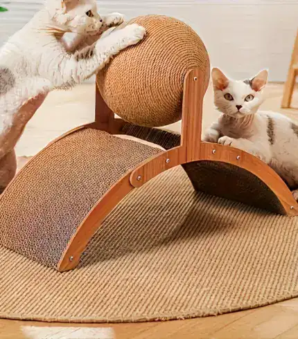 a673e6a2-aea0-4162-b370-331fea16a7d2