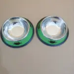 2pcs Stainless Steel Cat Bowls for Pet Feeding with Non-Slip Rubber Base – gallery image 6