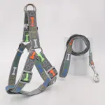 Bone-Shape Pet Harness and Leash for Walking & Control with Chest and Back Triangle Design – gallery image 2